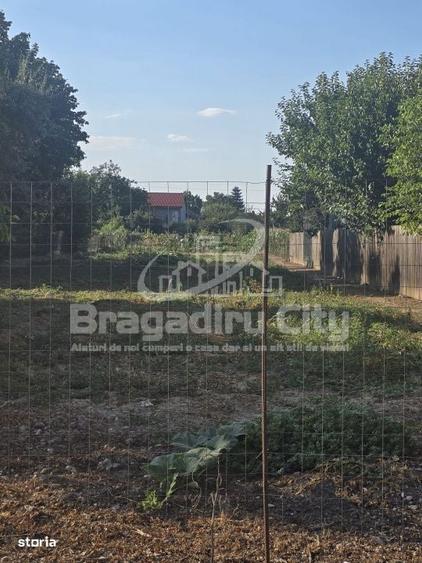 Teren Str Flacara Cornetu acte la zi - 1