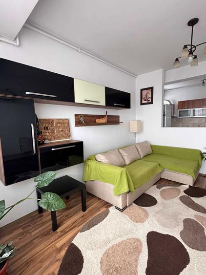 Apartament 2 camere - Parc Bazilescu - Bucurestii Noi - 5