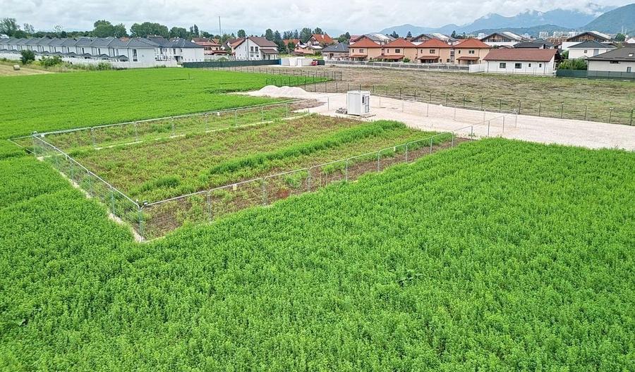 Teren Industrial - 5