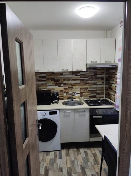 Garsoniera  LAPUS-ARGES/etaj 3/renovata /mobilata - 3