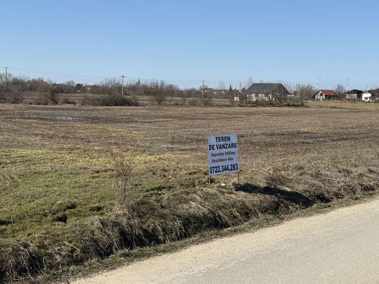 Ciolpani Padurea Snagov - zona Orangerie, Mega Image, Penny - 3