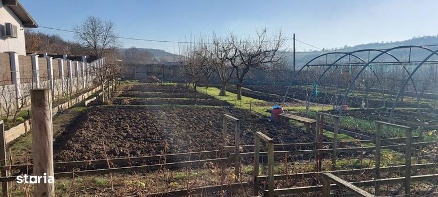 Teren de 650 mp, în Crăciunești