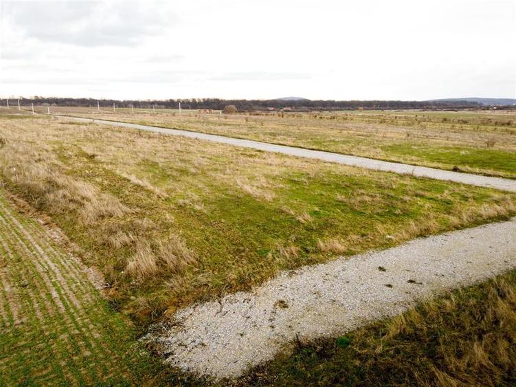 RECO Teren intravilan langa padure 500 mp cu PUZ -Sanmartin - 5