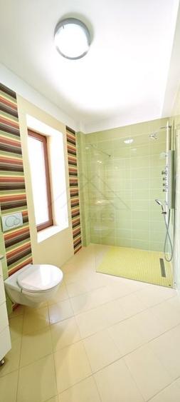 Casa mare. Posibil si clinica, camin batrani, invatamant, sediu firma. - 19