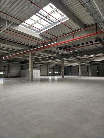 Spatiu Industrial - 2500 mp - Logistica - Productie - Depozitare - Distributie - 7