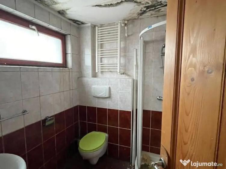 Casa de vanzare Beius - 15