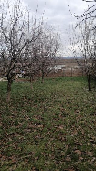 Tomesti - Osoi, vila cu spatiu comercial la parter , 2400mp teren cu iaz si pomi - 12