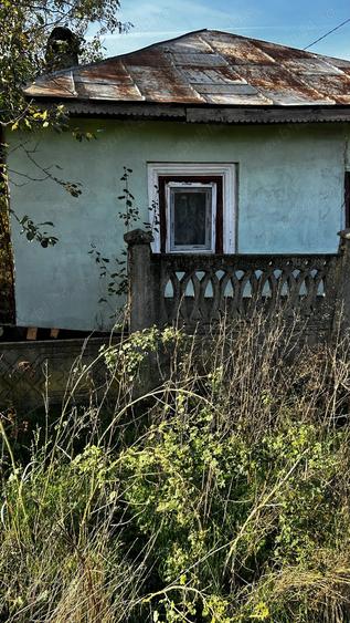 Teren 800 mp + casa batraneasca 60 Km de Bucuresti Draganesti-Vlasca -Sat Comoara - 8