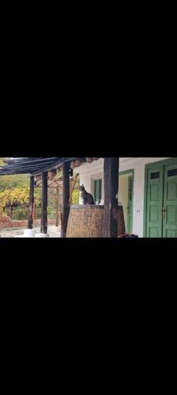 Casa traditionala intr-o zona de vis pe langa Curtea de Arges - 7