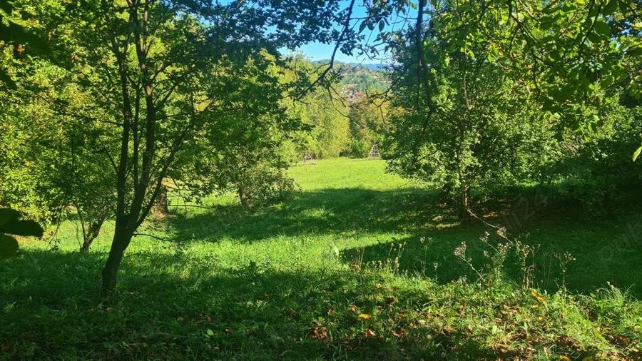 Casa la ro?u + 4391 mp teren de vanzare in comuna Valea Danului, sat Borobane?ti, jude? Arge?. - 10