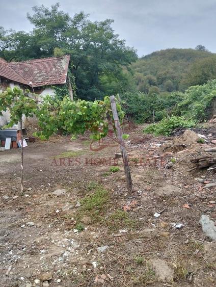 Casa spatioasa | 1500 mp teren - Ticvaniu Mare CS - 9