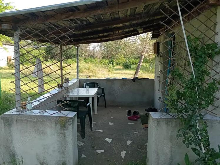 Vand casa cu 2500 mp teren - 6