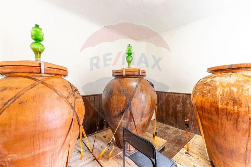 Conac aristocratic secolul XIX , domeniu  2,5 hectare — Păuliș, Arad - 18