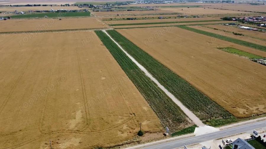 Teren Intravilan In Rate Berceni | utilitati: curent si gaz | #MG10BF - 7