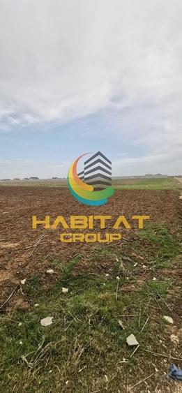 Teren intravilan 1.488 mp Dealul Floreni Berceni Comision 0% - 2