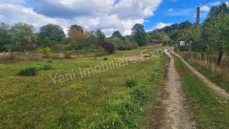 Teren de vanzare in comuna Poienarii de Arge?, sat Ioanice?ti, jude? Arge?. - 6