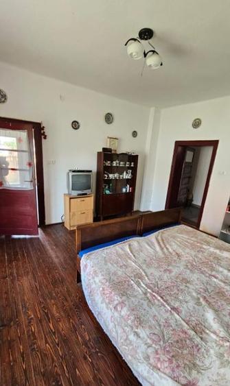 Apa, casa P+M,14 ari teren - 10