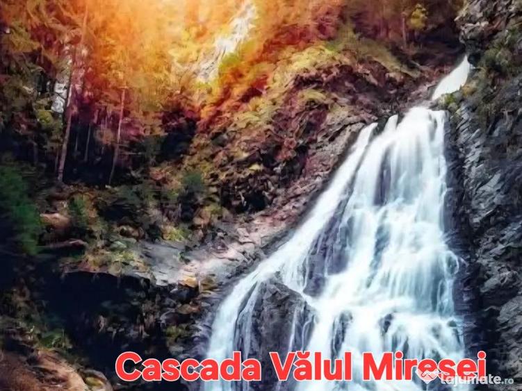 Teren de vanzare 26403mp - 10