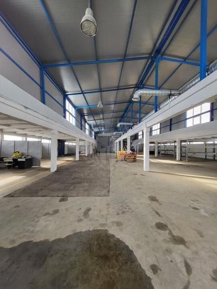 HALA 1800 MP//PLATFORMA BETONATA 5200 MP//ZONA BRAZI - 10