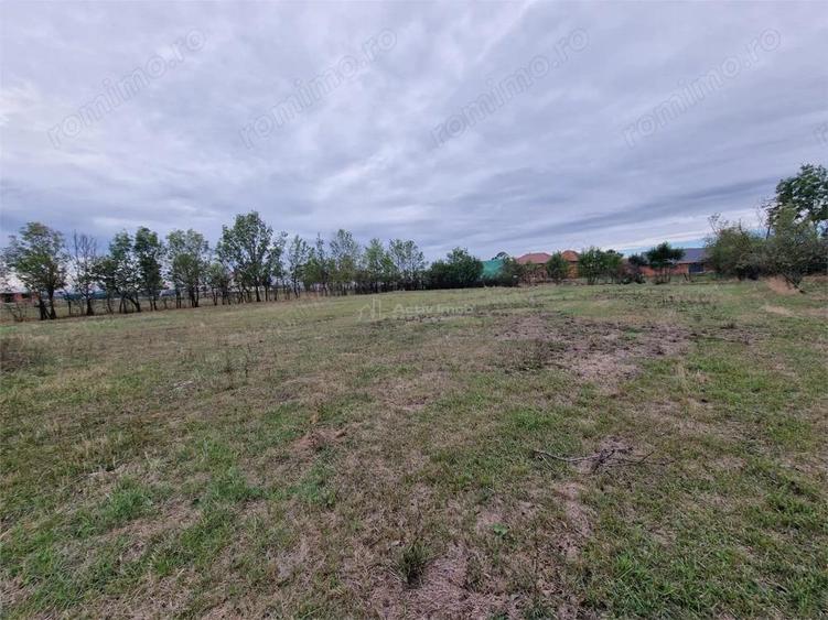 Sosdea 2 Case cu Teren 4657 Mp. - 8