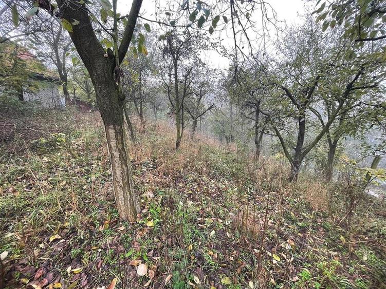 Casa individuala cu 6 camere si 3 bai si 1413 mp teren in Blaj - 11