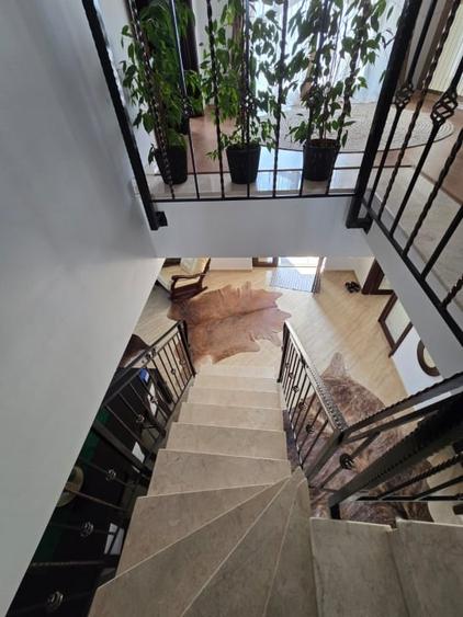 Casa de Vis, Serbanesti - 11