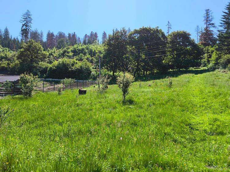 Teren intravilan în Cristian - Lunca Gării. - 3