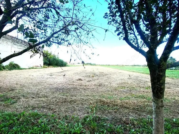 Teren de 4332 mp, în Boldur