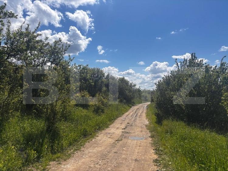 Teren Construcții extravilan de 2500 mp, în Sud-Est