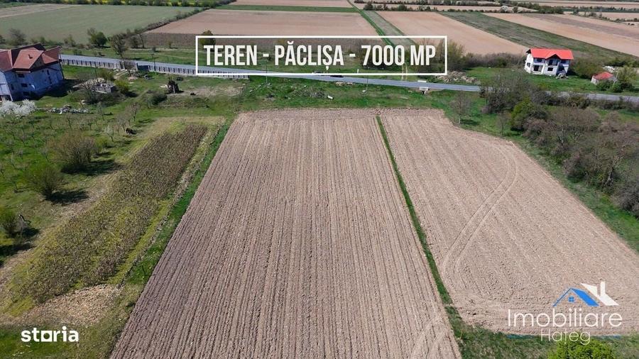 Spațiu comercial, în Păclișa
