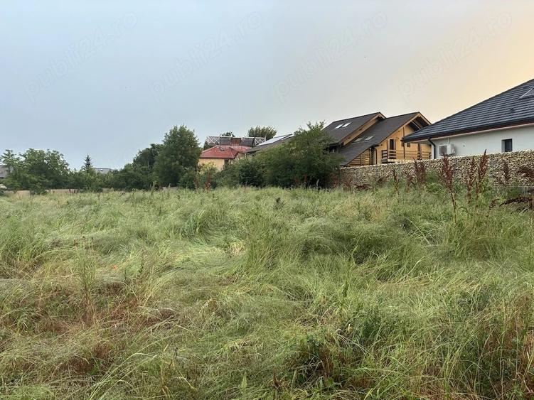 Teren de 4000 mp, în Mogoșoaia
