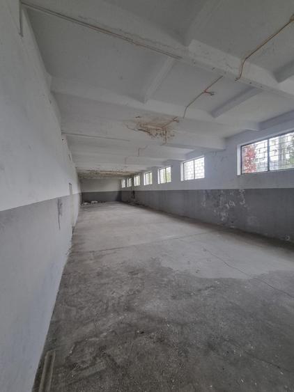 Închiriere Hală / Spațiu pentru Depozitare sau Producție – Zona Industrială Est, - 3