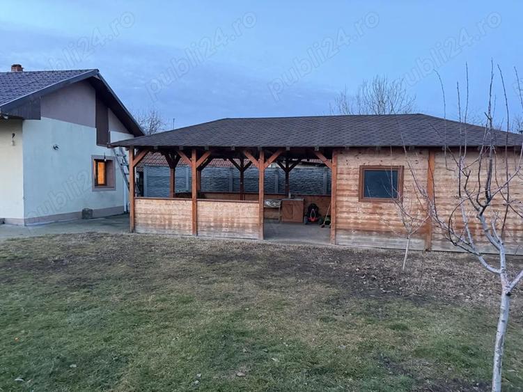 Casa + Teren Brebeni - 8000 metri patrati - 10 minute de Slatina - 8