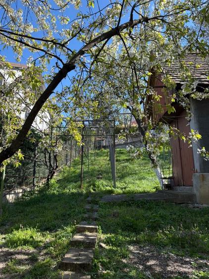 Apartament de 2 camere la casa cu curte in apropierea magazinului Crisu - 1