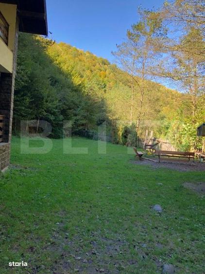 CABANA DACICA Refugiu premium la poalele Muntilor Dacici, in inima - 2