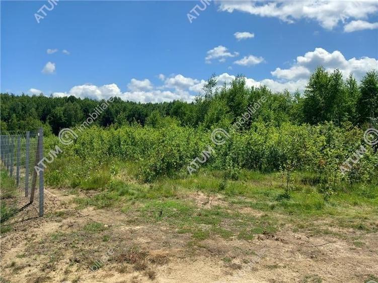Teren intravilan 3900 mp Porumbacu de Sus, Sibiu - 1