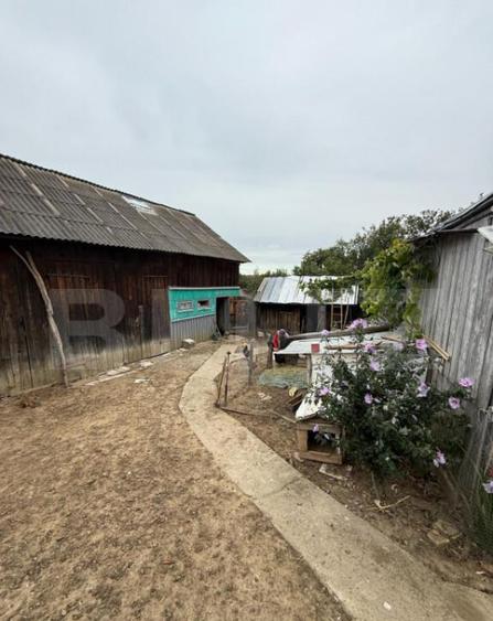 Casa batraneasca, 65 mp si teren intravilan 5600 mp, Adancat - 16