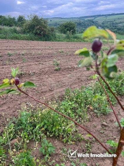 Teren extravilan cu gradina in Saliste - 2