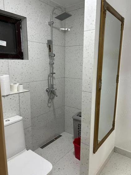 vand casa in satul de vacanta Groseni judetul Arad - 3