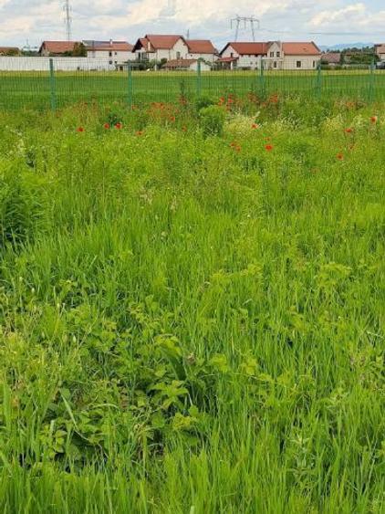 Vand teren intravilan 837 mp in BRASOV cartier Stupini - 5