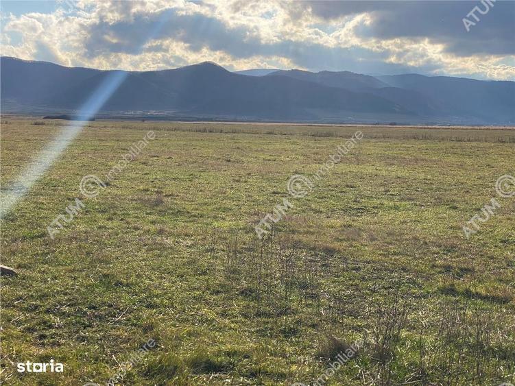 Teren de vanzare 564 mp in Sibiu pretabil investitie - 3