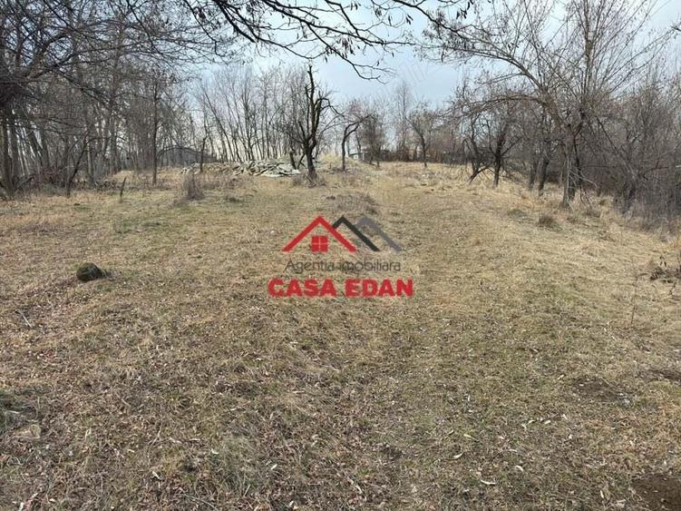 Teren intravilan in Cornu--3074m--90.000e - 1