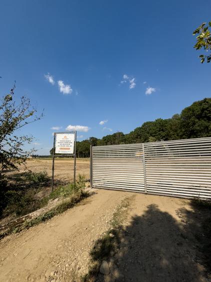 Lot de teren, Izvorani, Snagov! Deschidere la padurea SNAGOV- super promotie - 3