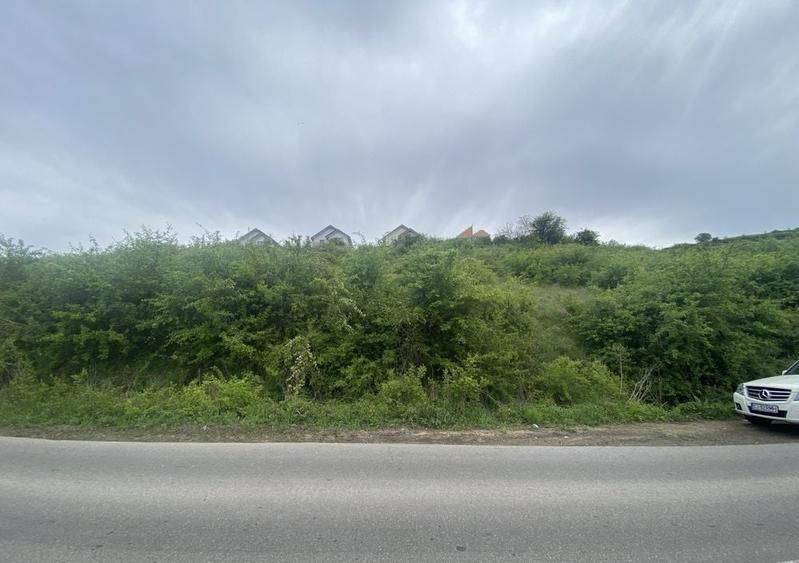 Teren intravilan Valea Seaca 1.000mp front 30ml la principala - 1