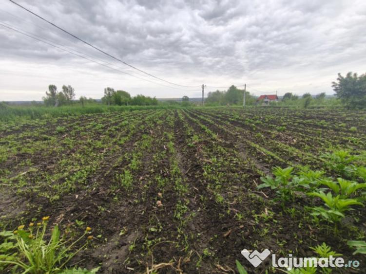 2 Case + 1600 mp Teren, zona centrala Balinesti, Siret - 14