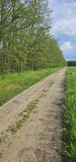 Teren intravilan - 4752 mp - 8 loturi de 594 mp - com Gruiu-Lipia - km 31 A3 - 6