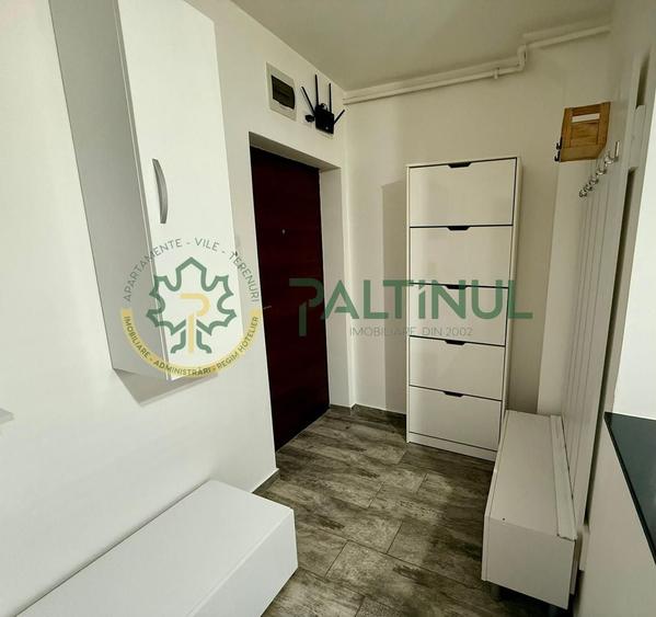 Apartament 1 camera de inchiriat Sibiu - 4
