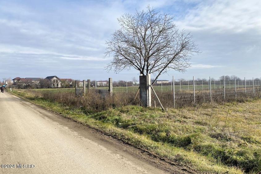 Afumati - Str. Iasomiei, 2409 MP, stradal, intravilan, deschidere 12 ml! - 1