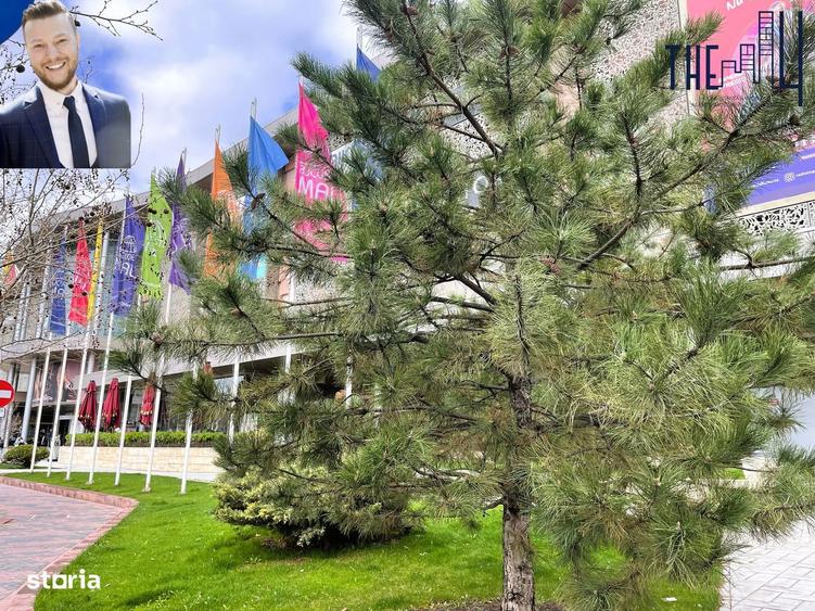 *2 Camere + Pivnita + Terasa *la 2 min de Bucuresti Mall - 1