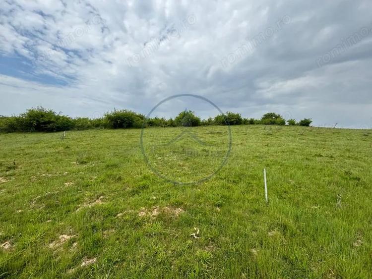 Teren intravilan 500mp, Alea Trifoiului - 1